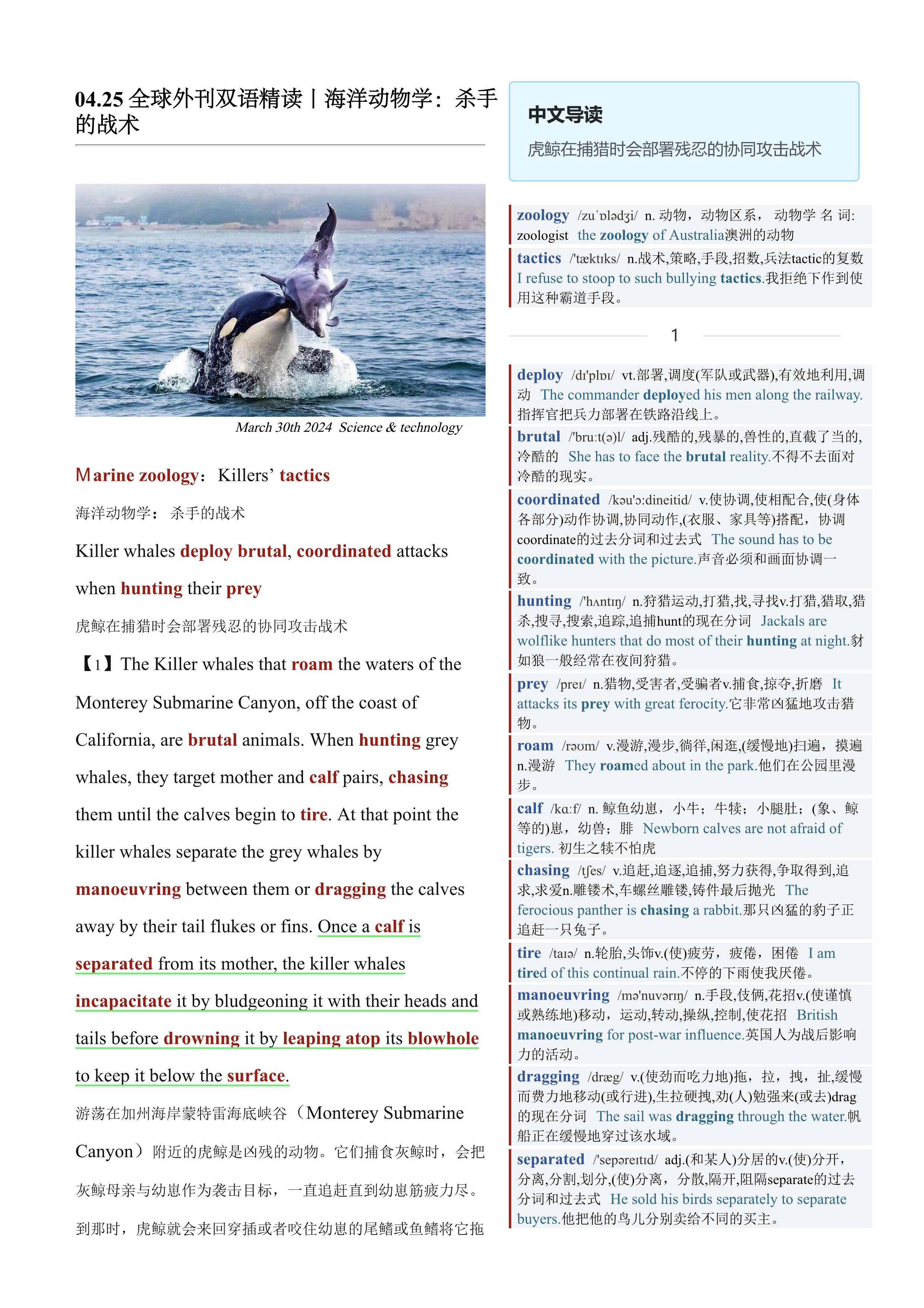 2024.04.25 经济学人双语精读丨海洋动物学：杀手的战术 (.PDF/DOC/MP3)
