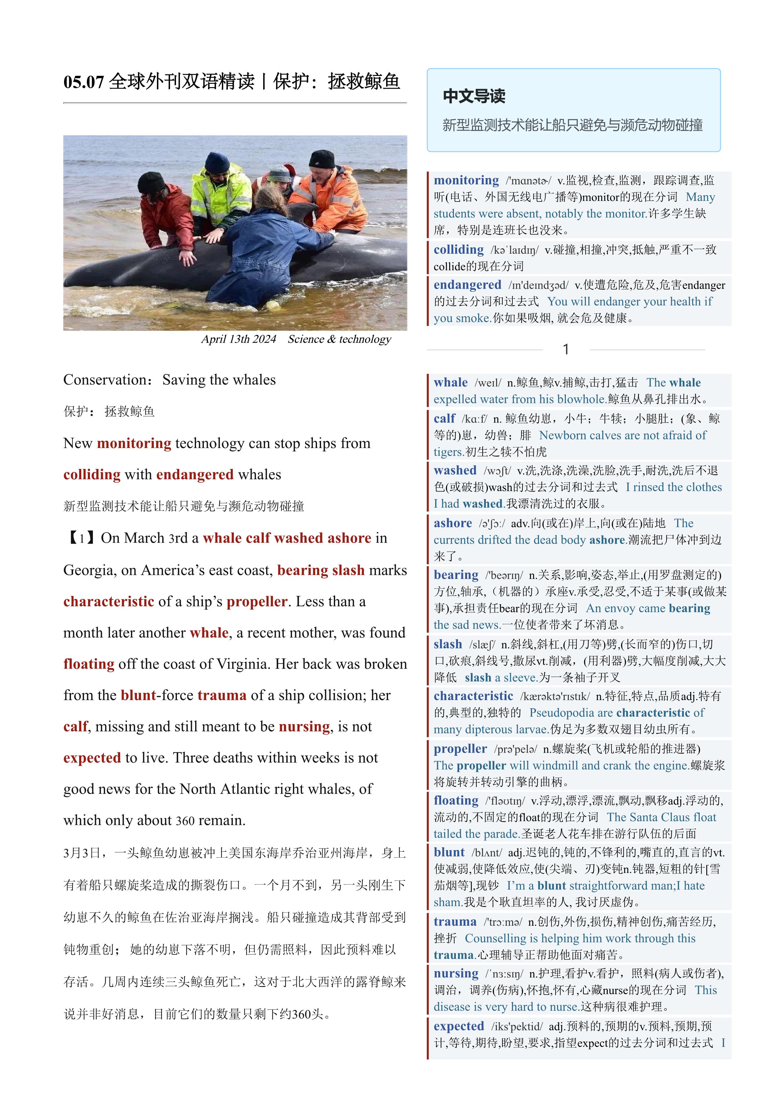 2024.05.07 经济学人双语精读丨保护：拯救鲸鱼 (.PDF/DOC/MP3)